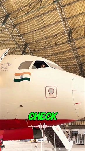 Why Is the Pilot Climbing Out the Cockpit Window?!#Aviation #PilotLife #AircraftFacts #AviationExplained #AirplaneSafety #FlightDeck #Airliner #AviationTikTok #HowThingsWork #DidYouKnow | Sky watcher.