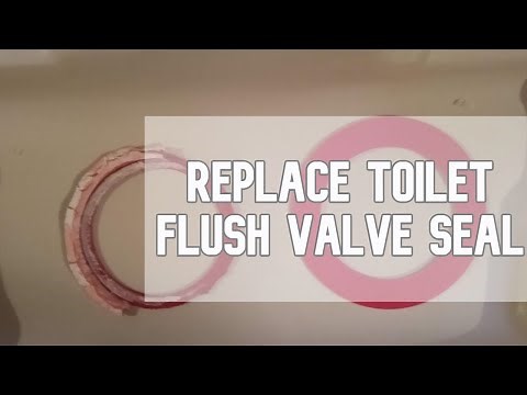 Mansfield 210/211 Toilet Running Replace Flush Valve Seal DIY video #valve #seal #mansfield #leak