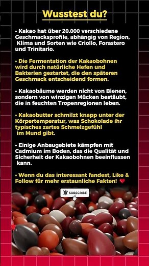 Kakao Geheimnisse, die kaum jemand kennt! 🍫