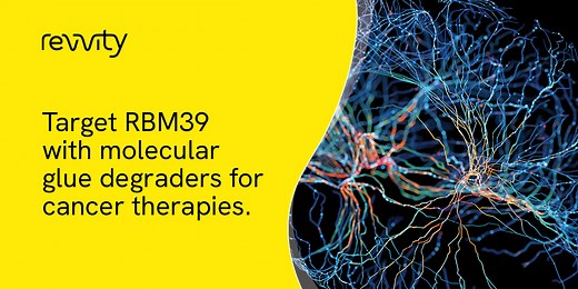 Development of an assay- and screening-platform to study molecular glue degraders