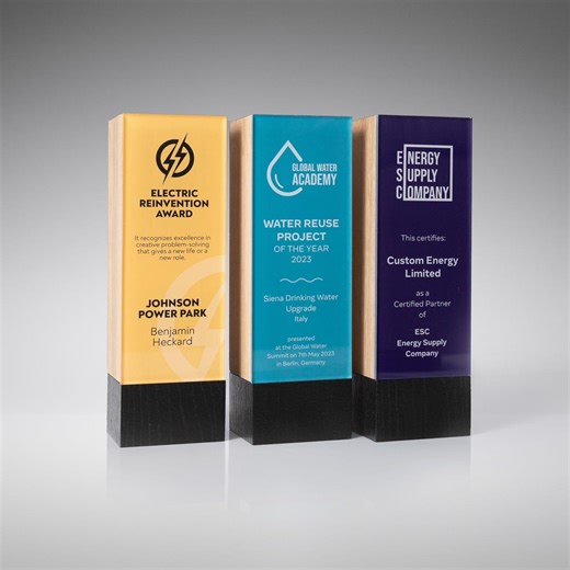 Personalized Oak & Acrylic Award: Engraved Corporate Trophy - Etsy