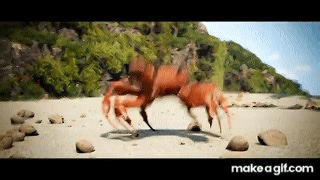 Dancing mouse on Make a GIF