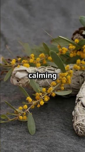 Healing Secrets: Native American Herbs