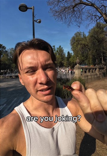 Exploring Mexico City's Unique Street Snack: Chapulines