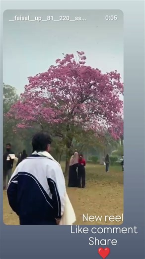 #__new__reel__💖💖