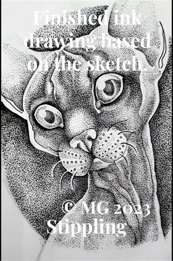 a Cat drawing 2023 - Ink drawing stippling example