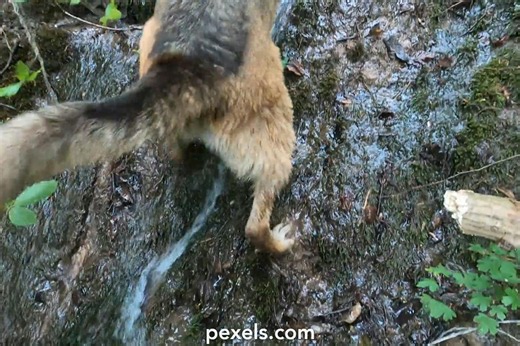 Best Russian+piss+teen+xvideos Videos