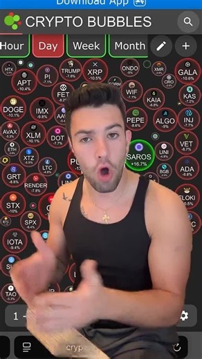 blckchain_bully on TikTok