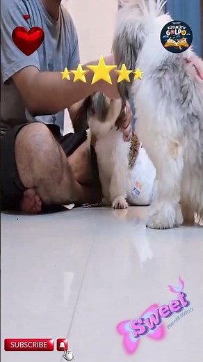 Heartwarming Animal Love Moments That Will Melt You