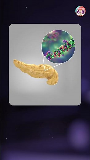 Is the Pancreas a Gland or an Organ? | Pancreas's Structure, Location and Function | BYJU'S