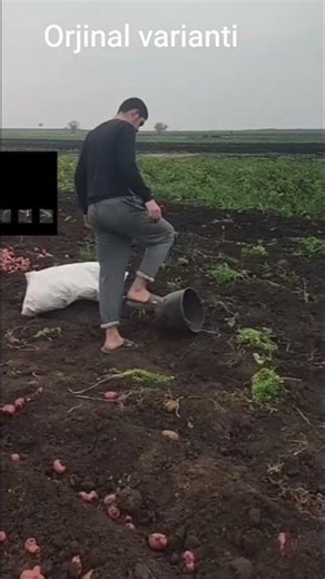 seir dedim qezel dedim