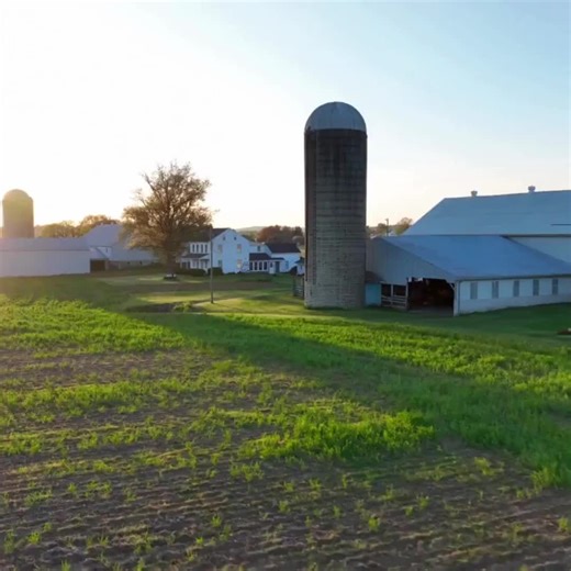 Becca Holland Loan Officer on TikTok