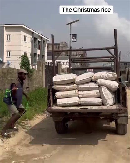 Explore the Magic of BalliBotMogis in Tech Innovation