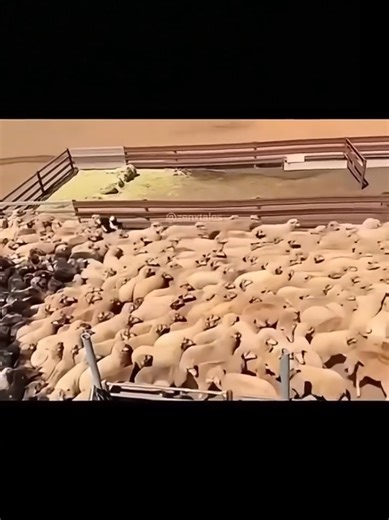 ‏لما تكون معلم في شغلك