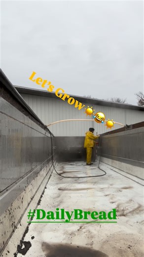 Jason Castillo on Reels