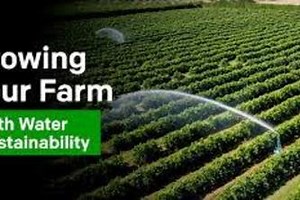 Water Potato Program