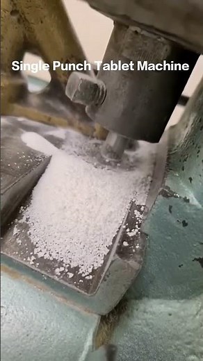 Tablet Punching in Lab | Single Punch Machine Demo 💊🛠️ #PharmacyLab #BPharmPractical