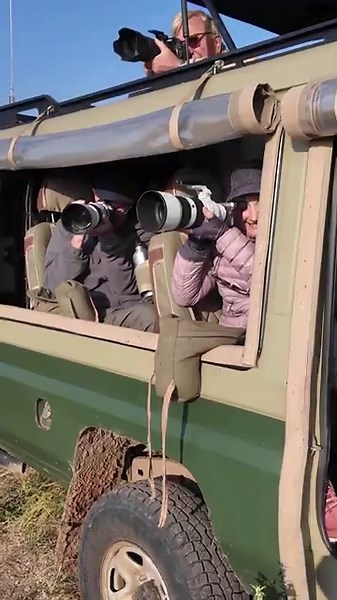 Lions of the Serengeti - Untamed Photo Safaris