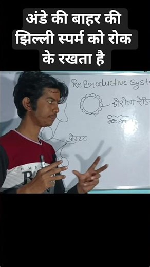 Egg का Security System Zona Pellucida Explained Biology एक अंडे में लाखों sperm क्यों नहीं घुसते