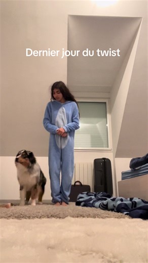 Et vous savez faire quoi comme tours les copains ? #bergeramericainminiature #miniaussie #fyp #education #tricks