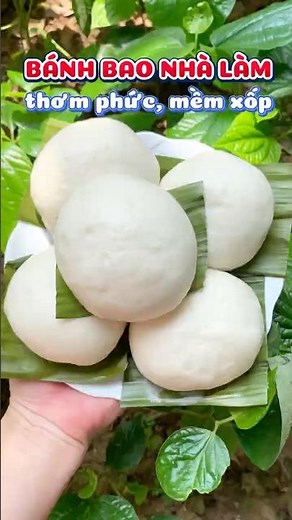 Super Easy Homemade Steamed Buns Using Pre-mix #steamedbun
