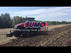 The Sumo Trio Working