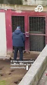 Public urination in SF has become a serious problem!