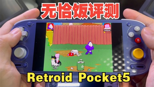 RP5到底什么水平？无恰饭评测！