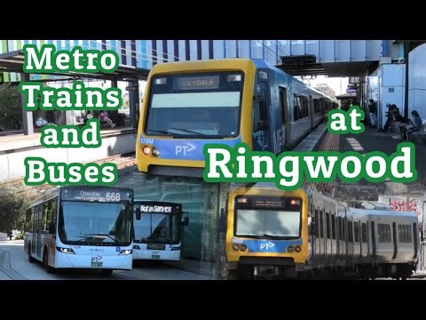 Metro Trains and Buses at Ringwood