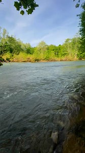 12K views · 209 reactions | Open today on the half day trip ! Awesome conditions | Cave Country Canoes | Facebook