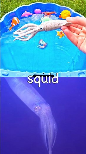 Kids Learn | Sea Animal Names with Toys: Squid Lionfish Great White Shark Octopus Manta Ray