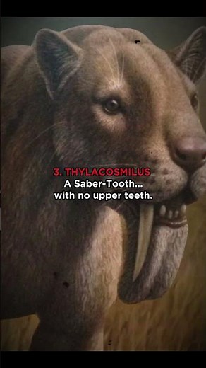 Prehistoric animals you won’t believe actually existed