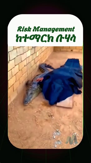 MarakiX on Instagram: "One trade won’t make you rich, but one bad risk can break you ❌💸 #everyone #fbreelsfypシ゚viralシ #trading #fypシ゚viralシfypシ゚ #BOOMchallenge #ethiotrading #abmarshal #foryouシ #ethiopiaforex #anura #ethioforexmastery #ethioforex #ethioforextrading #forextradingtips #forextrading #fypシ゚viralシ #fyp"