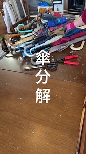 傘の分解とアップサイクルの楽しみ