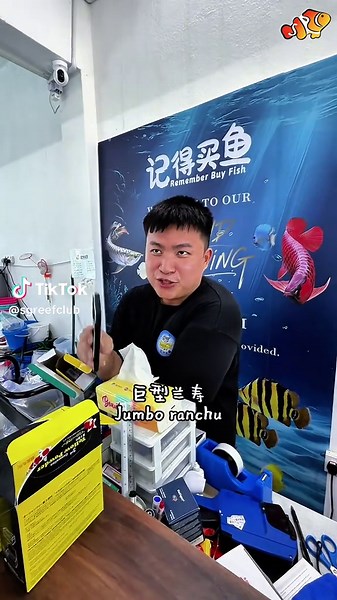 Remember Buy Fish visit: Jumbo Ranchu & SWC Stingrays spotted