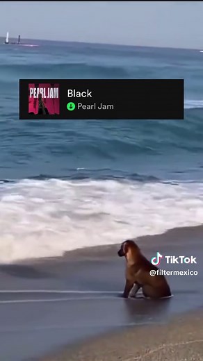 Descubre lo mejor de Pearl Jam y su legado