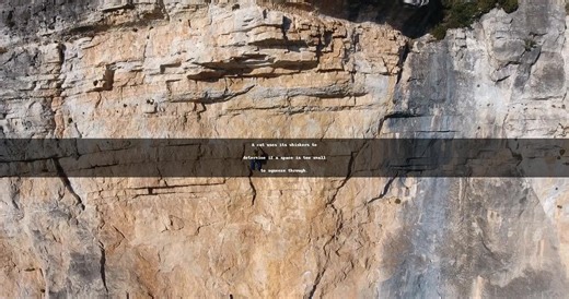 "Whiskers: Nature's Measuring Tool for Cats!" A cat uses its whiskers to determine if a space is too small to squeeze through. #CatFacts #WhiskerWisdom #FelineIntelligence #AnimalBehavior #PetEducation Follow us for more: Facebook: https://www.facebook.com/TheFactFactory/ YouTube: https://www.youtube.com/@factsandstoriestube | The Fact Factory