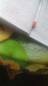 2 pt ice calibration formula robotics temperature