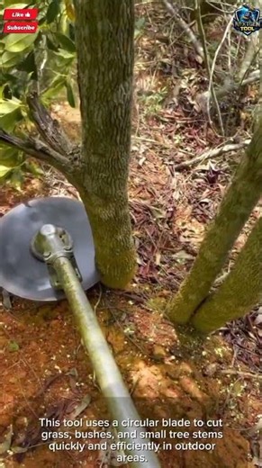 Grass Cutter Tool Machine Fast for Bush and Small Tree Cutting#tool
