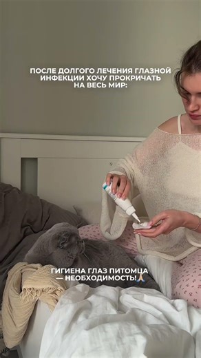 Глазная инфекция у кота 💔