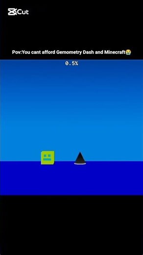 POV: You Can’t Buy Geometry Dash or Minecraft 😭