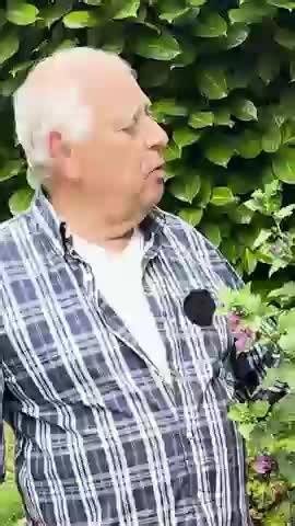 Comment Bouturer un Hibiscus Efficacement
