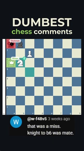 DUMBEST Chess Comments 7 #chess