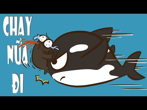 Secrets About Killer Whales: Pack Hunting, Matriarchal Lifestyle, and a Feud with Humpback Whales