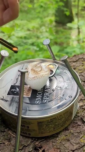Smart Camping Hack Using a Simple Tuna Can