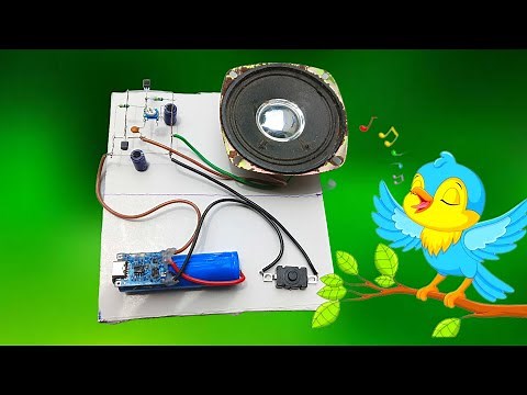 How To Make a Bird's Sound Circuit | Using Transistor