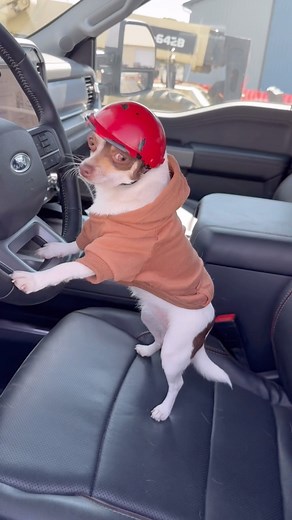 1.7M views · 9.4K reactions | Training the New Guy How to Back a Trailer #build #howto #construction #diy #contractor #truck #trailer | Haus Plans | Facebook