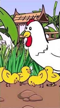 ไก่กุ๊กกุ๊กไก่ vs เต่าเอ๋ยเต่า