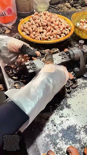 Cracking the Cashew: How Specialized Tools Unlock a Global Snack