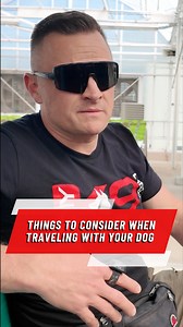 If you're bringing your dog to a place like Disney, you need to be prepared. You need to think about shade, food, and making sure your dog stays hydrated. Your dog shouldn't drink out of random fountains or just eat random things. Always remember to pack what they need, just like you would for yourself ✅ #travelwithdog #canecorso #dogneeds #disneyworld #travelingwithdogs #dogtraining #puppytrainer #dogobediencetraining #dogsaregreat #dogsafety #k9trainer #dogtrainingtips #dogowners | American St